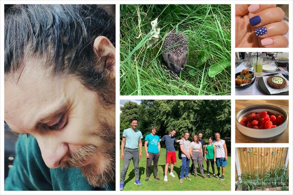 Collage of pictures from July: Thom's profile; a baby hedgehog walking through the grass; my capoeira friends and I in the park; my cute pink and blue nails; some nice food at bar iberico; a bowl of homegrown raspberries; our little corn crop.