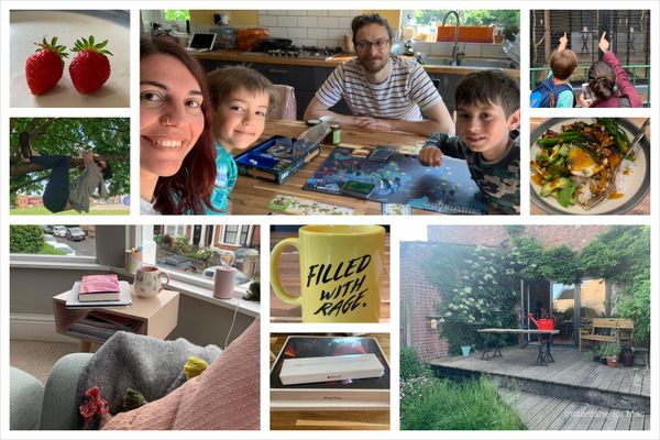 Collage of pictures from June: two strawberries from one of our plants; Thom being a koala grabbed onto a tree branch; my nephews Thom and I playing pandemic; Thom and Manuel pointing at some birds at the park; a bowl of delicious homemade bibimbap; my cosy armchair next to a cup of tea and a book; a yellow mug that says filled with rage; my new ipad in its box; a shot of our deck with the flowering hydrangea up the wall.